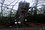Fairy-Tree-Castle