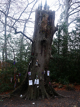 Fairy tree Rathfarnham - Public Domain Photograph