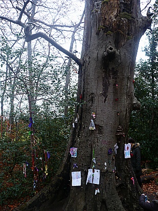 Fairy tree donations - Public Domain Photograph