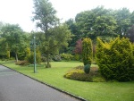 Formal-Garden-with-Conifers