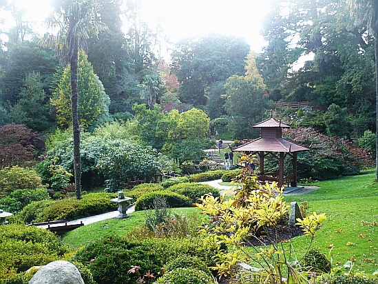 Japanese Garden Powerscourt - Public Domain Photograph