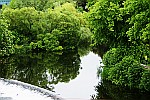 River-Suir-Tipperary