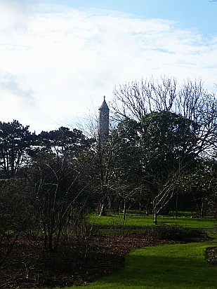 Tower behind trees - Public Domain Photograph