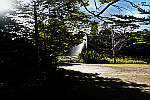 Water-Fountain-in-Forest