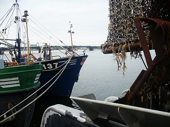 Boats in harbour - Public Domain Photograph