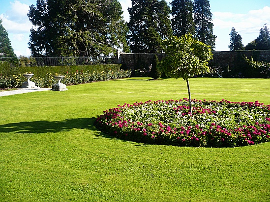 Circular flowerbed - Public Domain Photograph