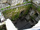 ivy-on-walls
