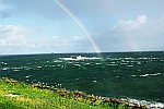 rainbow-in-sea