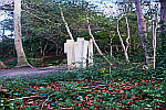 sculpture-in-park