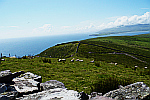 sheep-near-cliffs